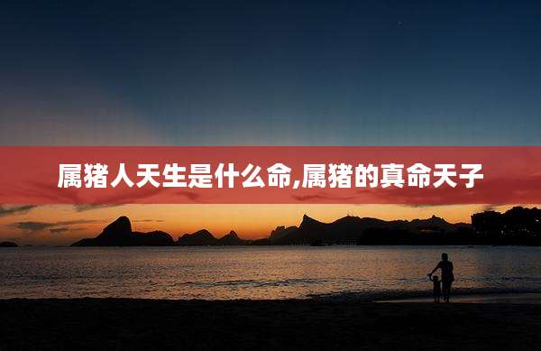 属猪人天生是什么命,属猪的真命天子