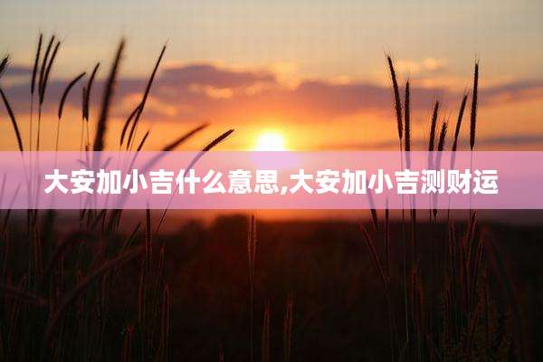 大安加小吉什么意思,大安加小吉测财运