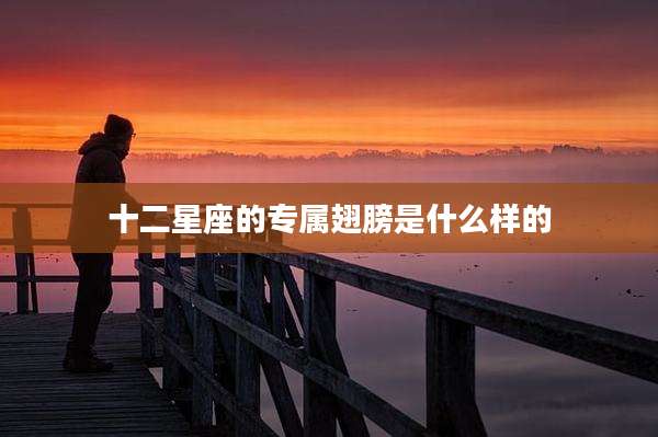 十二星座的专属翅膀是什么样的