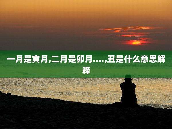 一月是寅月,二月是卯月....,丑是什么意思解释