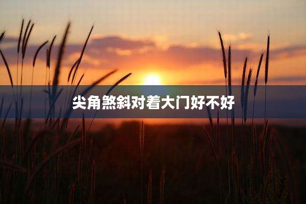 尖角煞斜对着大门好不好