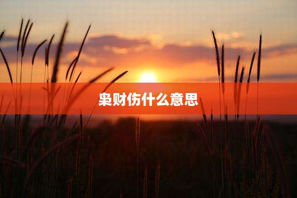 枭财伤什么意思