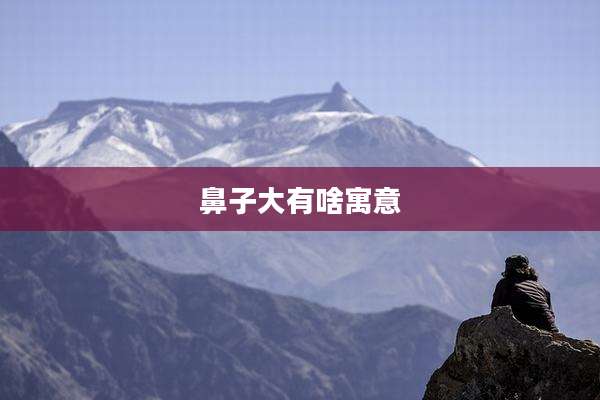 鼻子大有啥寓意