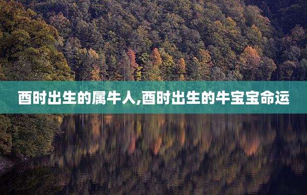 酉时出生的属牛人,酉时出生的牛宝宝命运