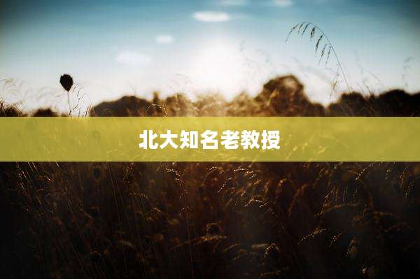 北大知名老教授