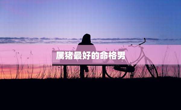 属猪最好的命格男