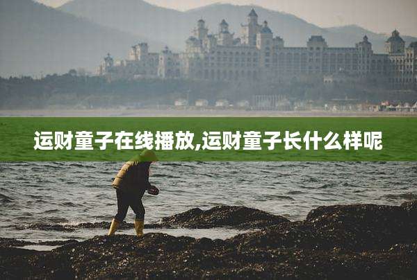 运财童子在线播放,运财童子长什么样呢