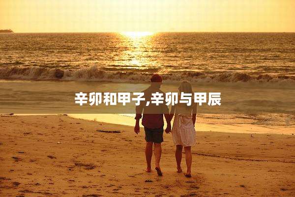 辛卯和甲子,辛卯与甲辰
