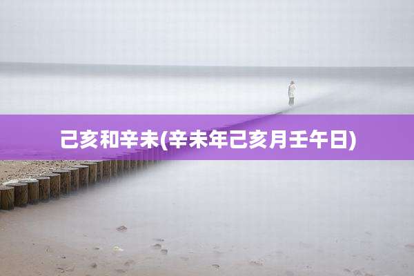 己亥和辛未(辛未年己亥月壬午日)