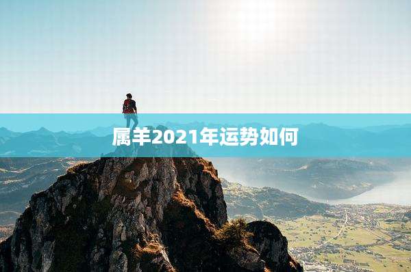 属羊2021年运势如何