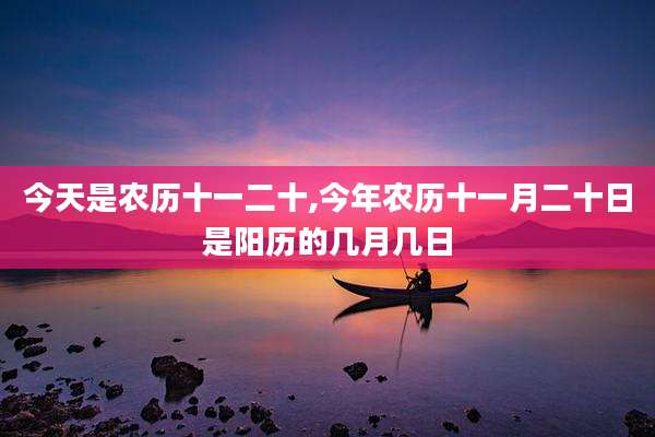 今天是农历十一二十,今年农历十一月二十日是阳历的几月几日
