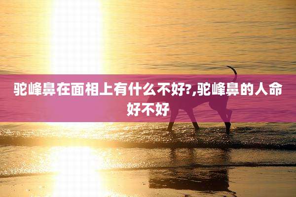 驼峰鼻在面相上有什么不好?,驼峰鼻的人命好不好