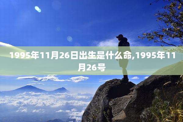 1995年11月26日出生是什么命,1995年11月26号