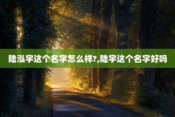 陆泓宇这个名字怎么样?,陆宇这个名字好吗