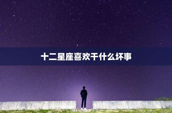 十二星座喜欢干什么坏事