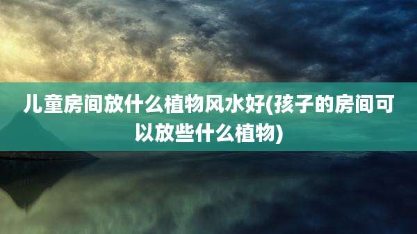 儿童房间放什么植物风水好(孩子的房间可以放些什么植物)