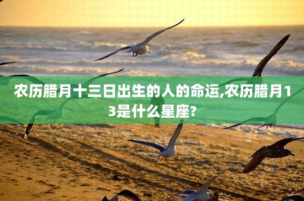 农历腊月十三日出生的人的命运,农历腊月13是什么星座?