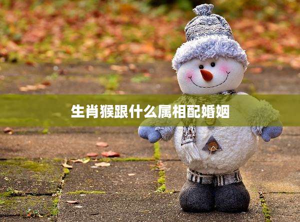生肖猴跟什么属相配婚姻