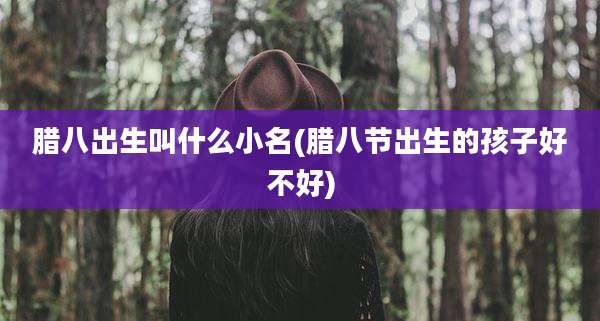 腊八出生叫什么小名(腊八节出生的孩子好不好)