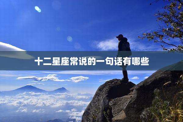 十二星座常说的一句话有哪些