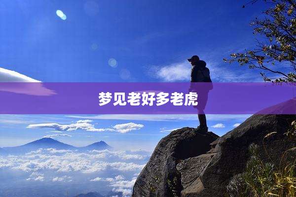 梦见老好多老虎