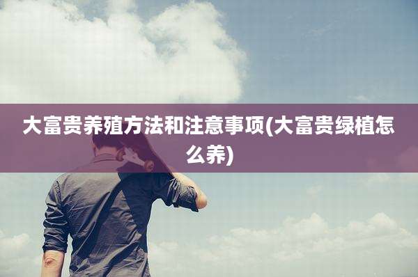 大富贵养殖方法和注意事项(大富贵绿植怎么养)