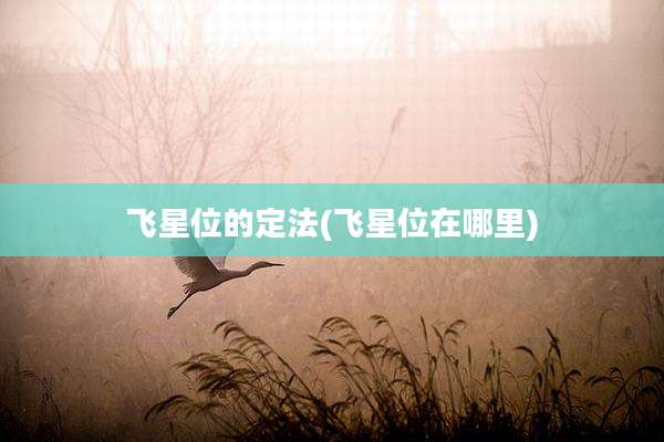 飞星位的定法(飞星位在哪里)