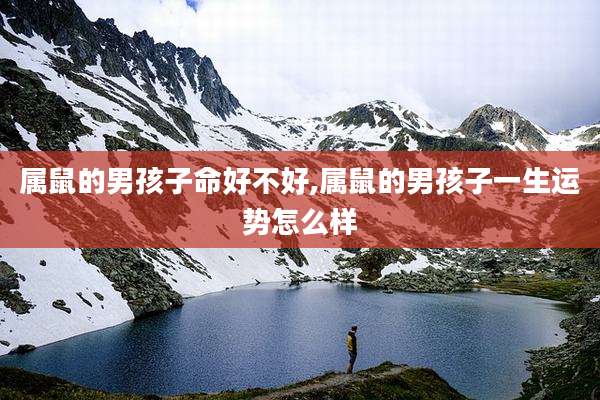 属鼠的男孩子命好不好,属鼠的男孩子一生运势怎么样