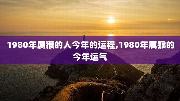 1980年属猴的人今年的运程,1980年属猴的今年运气