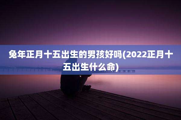兔年正月十五出生的男孩好吗(2022正月十五出生什么命)