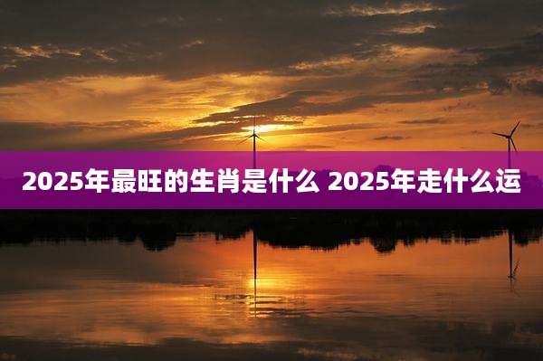 2025年最旺的生肖是什么 2025年走什么运