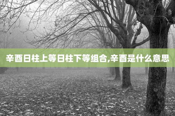 辛酉日柱上等日柱下等组合,辛酉是什么意思