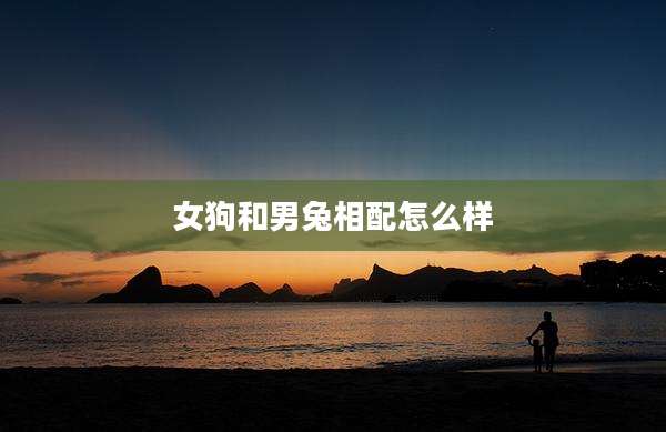女狗和男兔相配怎么样
