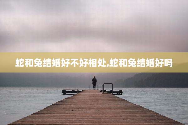 蛇和兔结婚好不好相处,蛇和兔结婚好吗