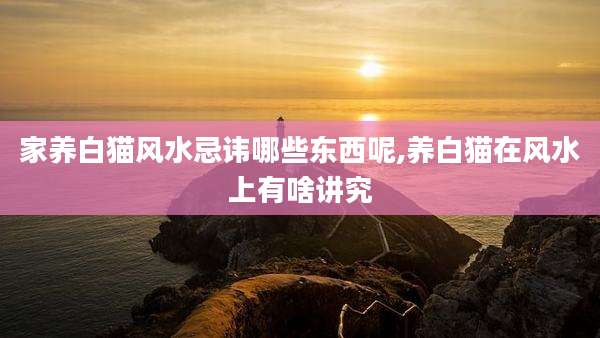 家养白猫风水忌讳哪些东西呢,养白猫在风水上有啥讲究