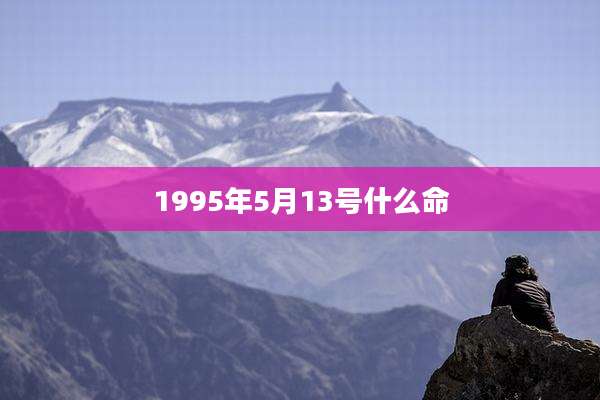 1995年5月13号什么命