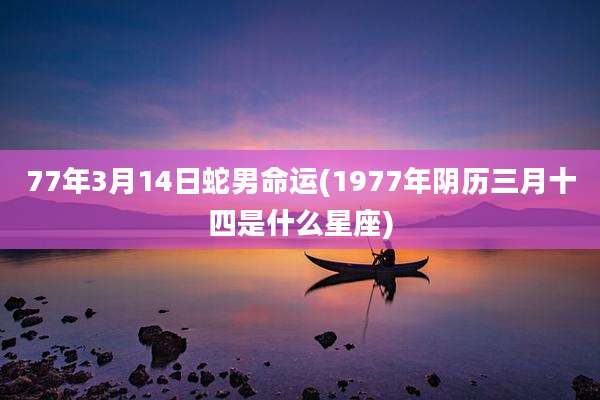 77年3月14日蛇男命运(1977年阴历三月十四是什么星座)