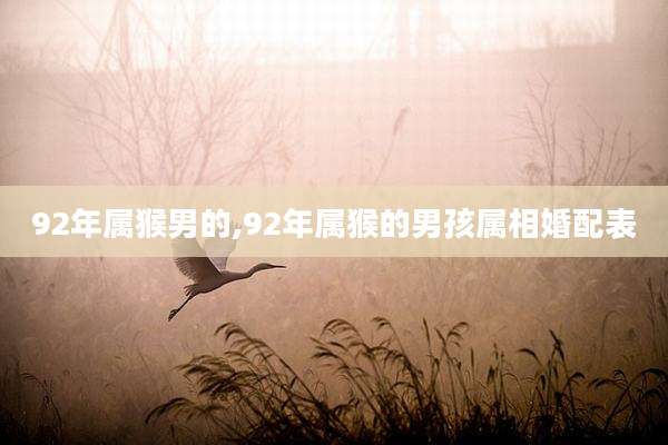 92年属猴男的,92年属猴的男孩属相婚配表