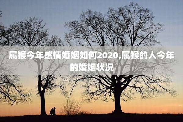 属猴今年感情婚姻如何2020,属猴的人今年的婚姻状况