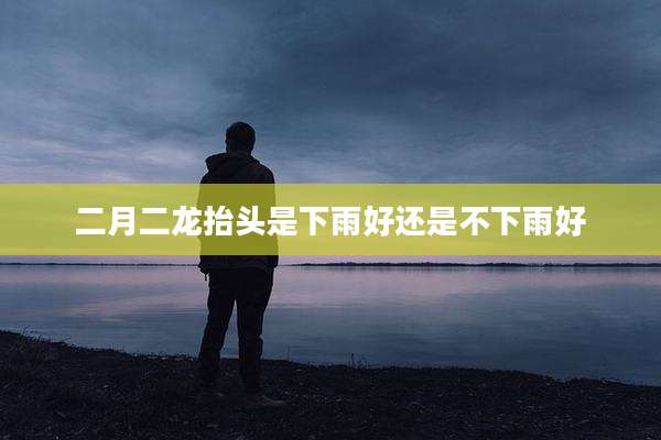 二月二龙抬头是下雨好还是不下雨好