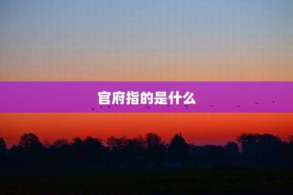 官府指的是什么