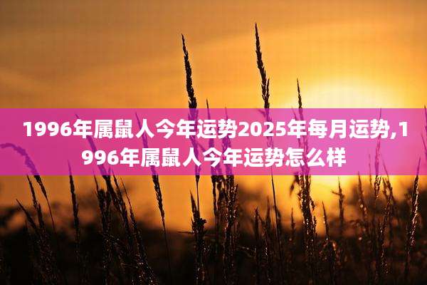 1996年属鼠人今年运势2025年每月运势,1996年属鼠人今年运势怎么样