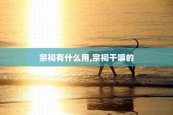 宗祠有什么用,宗祠干嘛的