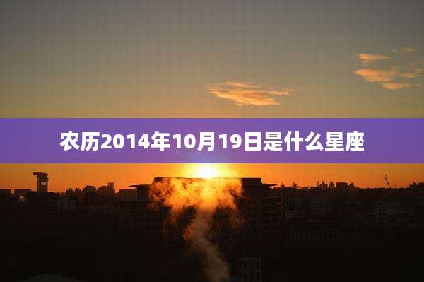 农历2014年10月19日是什么星座