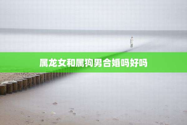 属龙女和属狗男合婚吗好吗