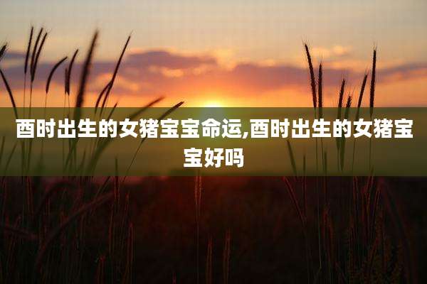 酉时出生的女猪宝宝命运,酉时出生的女猪宝宝好吗