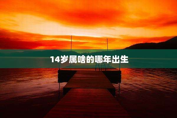 14岁属啥的哪年出生