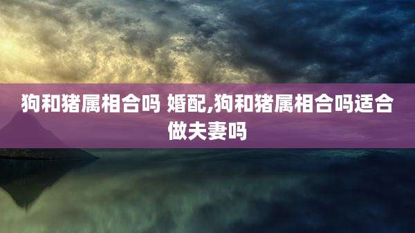 狗和猪属相合吗 婚配,狗和猪属相合吗适合做夫妻吗