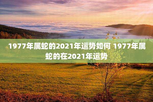 1977年属蛇的2021年运势如何 1977年属蛇的在2021年运势