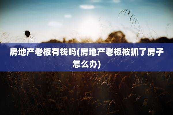 房地产老板有钱吗(房地产老板被抓了房子怎么办)
